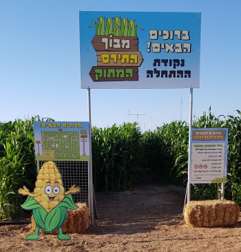 מבוך התירס המתוק פעילות למשפחות